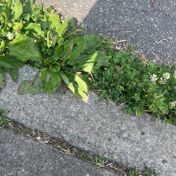 Meet your Posher, Jason - Picture 1 of 1